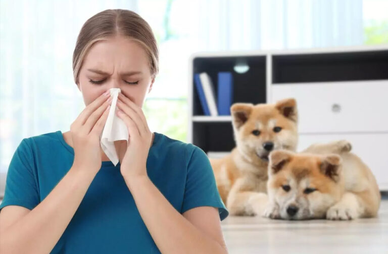 Cómo eliminar los alérgenos nocivos de tu hogar