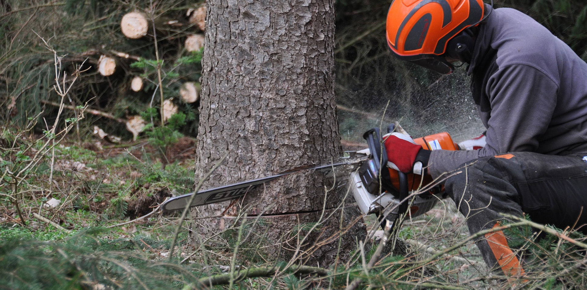Tala por desmantelamiento: la técnica para espacios reducidos o zonas sensibles