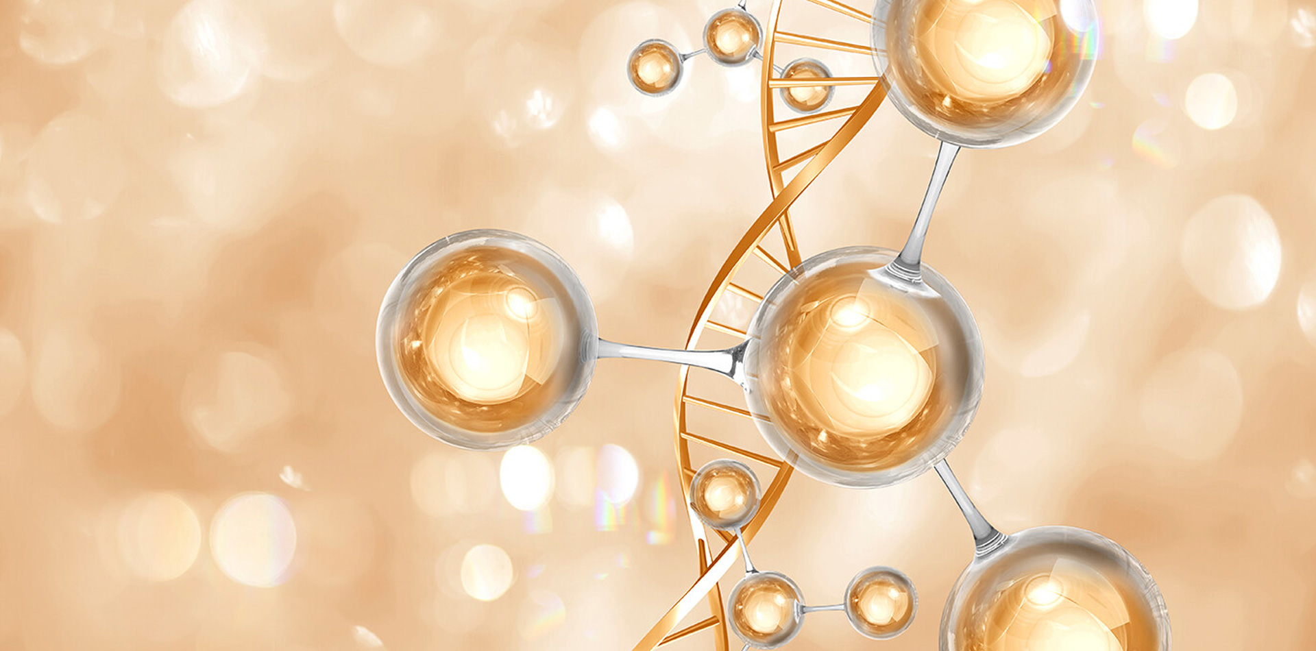 Beneficios clave en la regeneración cutánea